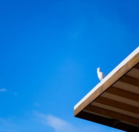 Wye Not Escape - Holiday Find