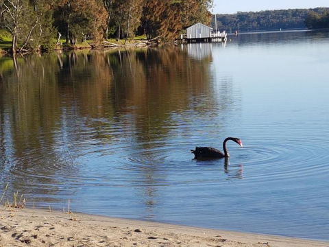 Wyreepi River Cottage - Holiday Find 3
