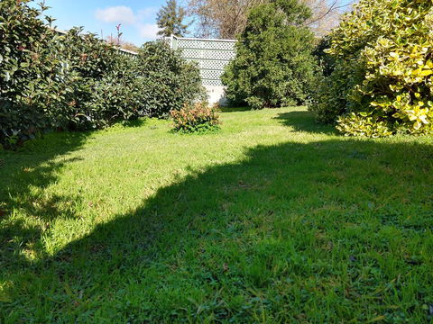 Young Goldrush Motel - Holiday Find 2