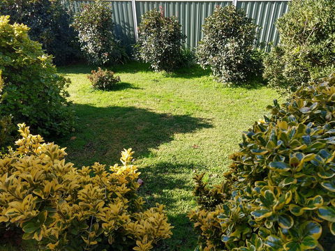 Young Goldrush Motel - Holiday Find 3