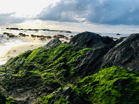 A Sanctuary At Denhams - Family & Pooch Friendly - Holiday Find 2