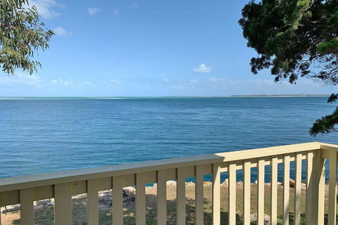 ALLIES PLACE - Holiday Find 0