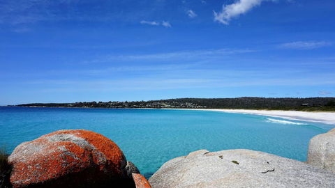 BAY OF FIRES BEACH SHACK Ocean Views From A Modern Beachhouse - Holiday Find 3