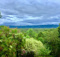 Daintree Manor BB - Holiday Find