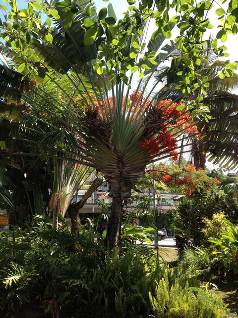 Port Douglas Apartments - Adults Only Oasis - Holiday Find 39