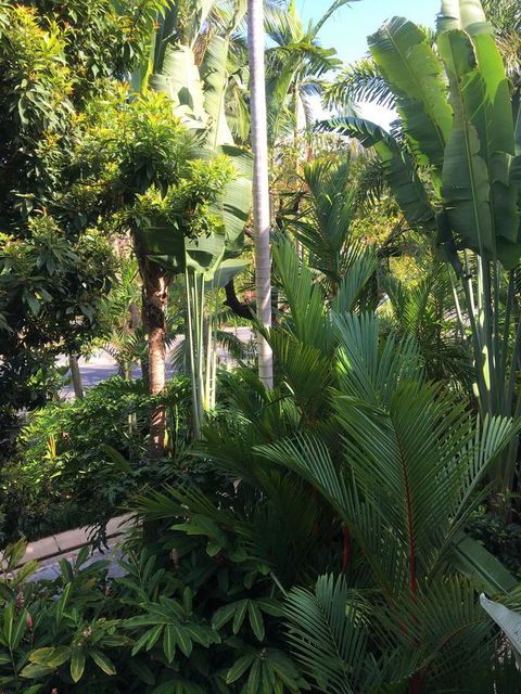 Port Douglas Apartments - Adults Only Oasis - Holiday Find 1