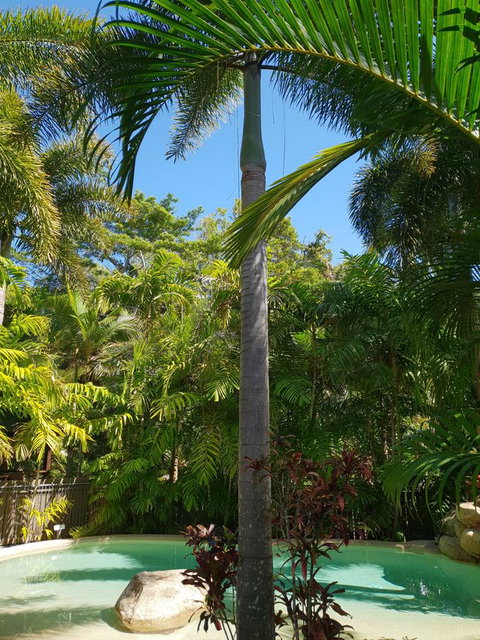 Cassawong Cottages - Holiday Find 16