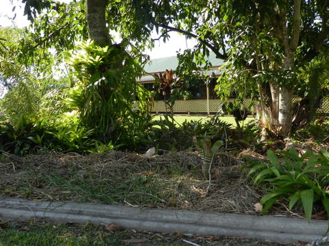 Hay Point Country BnB - Holiday Find 23