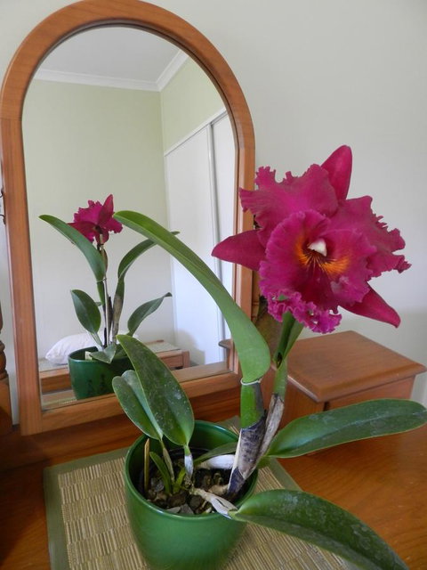 Hay Point Country BnB - Holiday Find 10