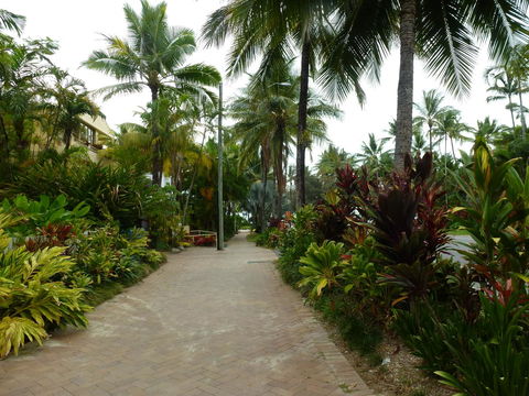 Martinique On Macrossan - Holiday Find 22