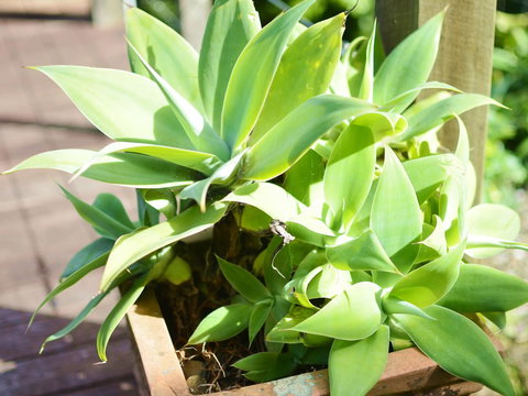 Apple Tree Cottage Montville - Holiday Find 13