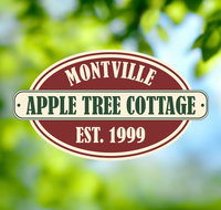 Apple Tree Cottage and Studio - Holiday Find