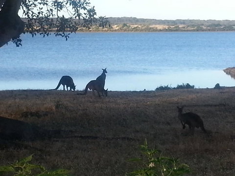 Ratcliff Cottage - Holiday Find 2