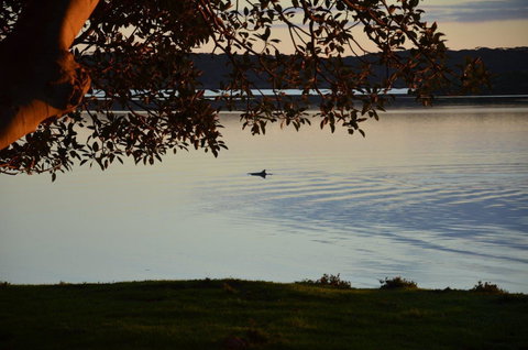Ratcliff Cottage - Holiday Find 11
