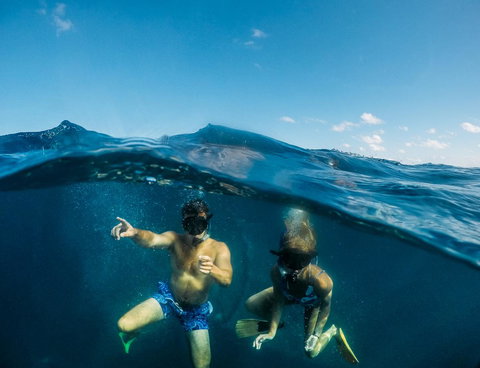 Manta Lodge YHA & Scuba Centre - Holiday Find 12