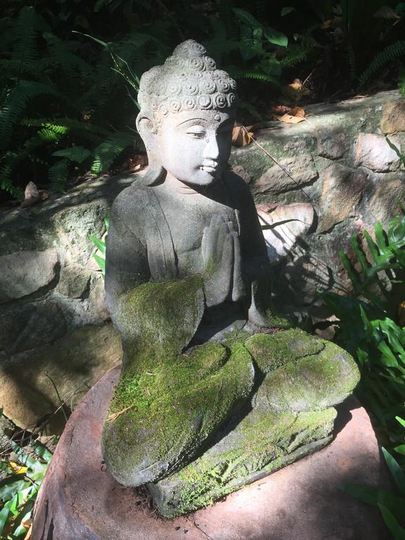 Coolum QLD Holiday Find