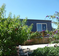 19 Blue - Holiday Find