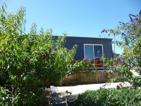 19 Blue - Holiday Find 0