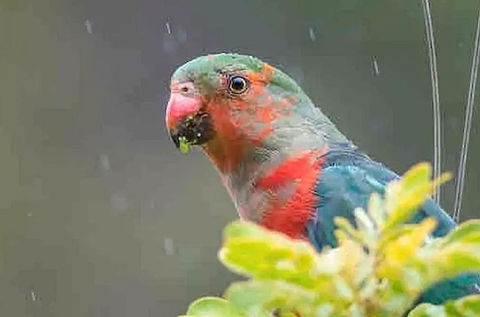 Crystal Cottage Retreat- Escape To The Hinterland! - Holiday Find 4