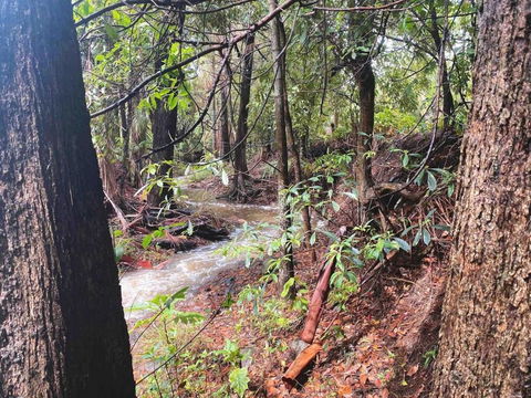 Crystal Cottage Retreat- Escape To The Hinterland! - Holiday Find 3