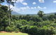 Daintree - House With A View - thumb 3