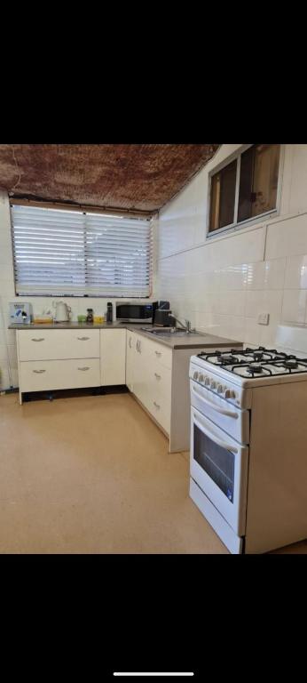 Desert Gum Grund St - Holiday Find 0