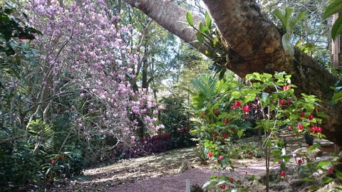 305 Montville - The Artist's Cottage - Holiday Find 3