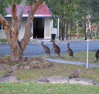 31 The Rocks - Holiday Find