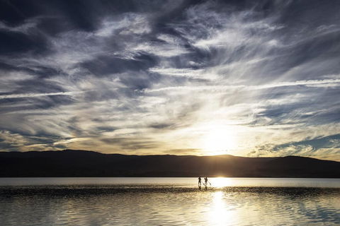 4 Lakeview Plaza - Holiday Find 3