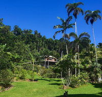 A Daintree Garden - Holiday Find