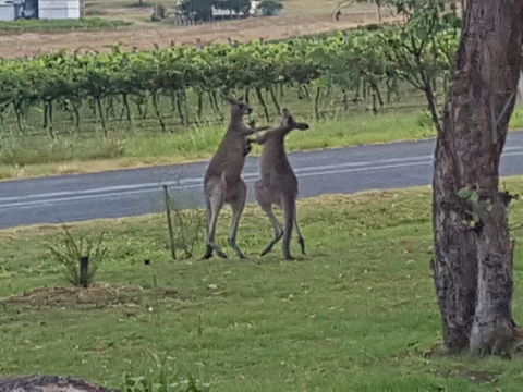 A Stanthorpe Getaway - Holiday Find 3