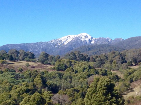 A View To A Hill - Holiday Find 3