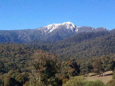 A View To A Hill - Holiday Find 2