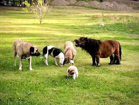 Absolute Riverfront Shipping Container Cabin - Holiday Find 2