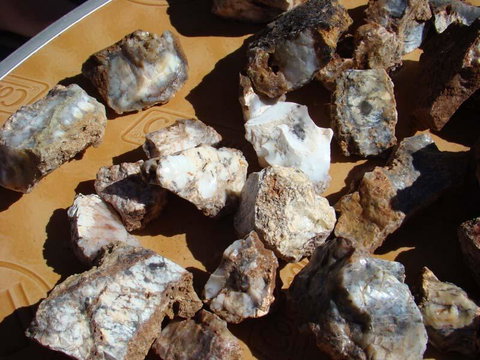 Acclaim Gateway Tourist Park - Holiday Find 1