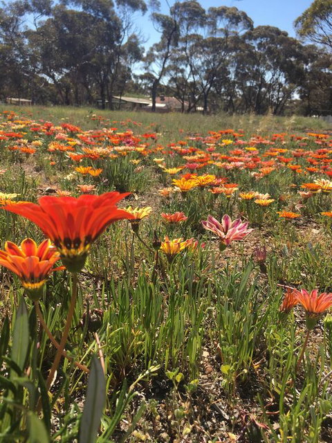 Acclaim Gateway Tourist Park - Holiday Find 2