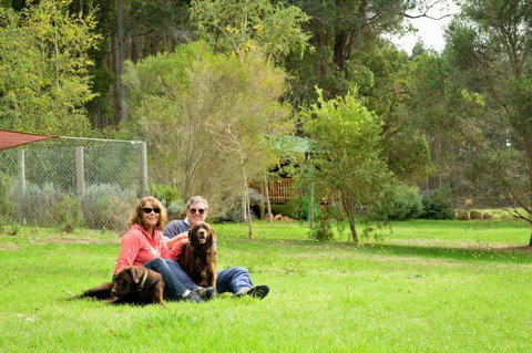 Diamond Forest Farm Stay - Holiday Find 4