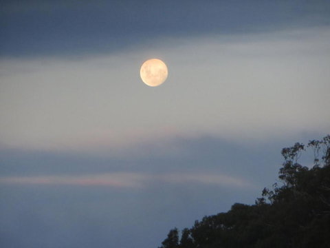 Eildon Parkview Motor Inn Room 8 - Holiday Find 2