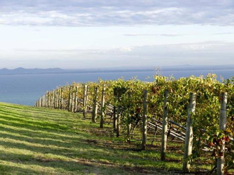 Geelong Serviced Apartments By Short & Long Stays - Holiday Find 1