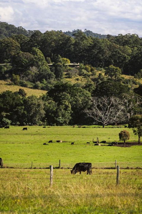 Huntingdon House By Tiny Away - Holiday Find 2