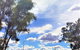 Ironbark Inn - thumb 3