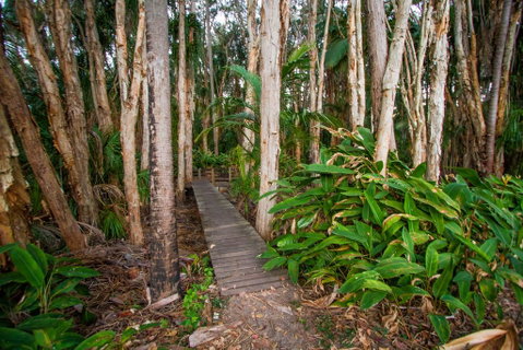 Agnes Palms Accommodation - Holiday Find 0