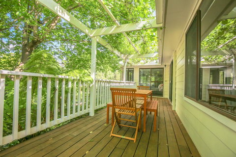 Alderwood - Holiday Find 3