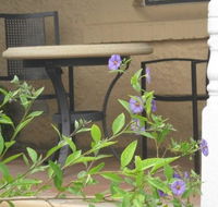 Amalie Cottage Waikerie - Holiday Find