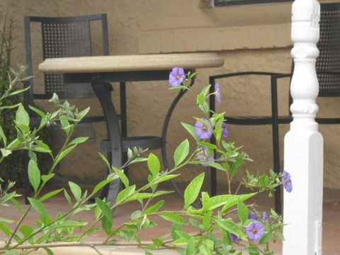 Amalie Cottage Waikerie - Holiday Find 0