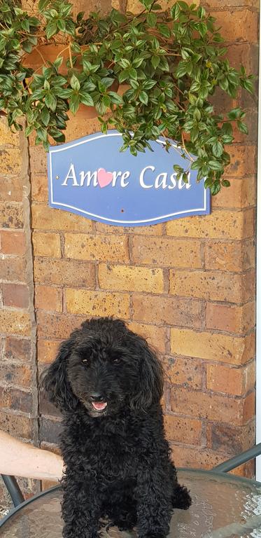 Amore Casa Tenterfield - Holiday Find 2
