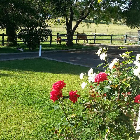 Appin Homestay B & B - Holiday Find 3