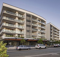 Arise Hedge - Holiday Find