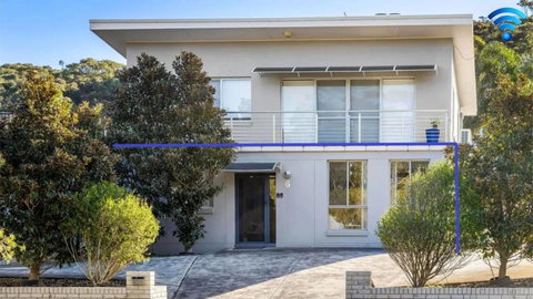 Magnolias - Holiday Find 0