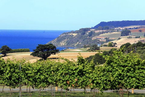 Mallavale Farm, Boat Harbour - Holiday Find 0